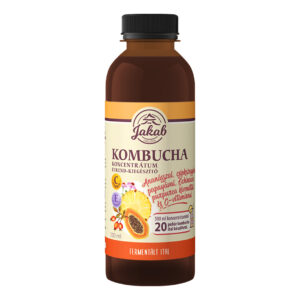Kombucha koncentrátum echinacea purpurea kivonattal és C-vitaminnal